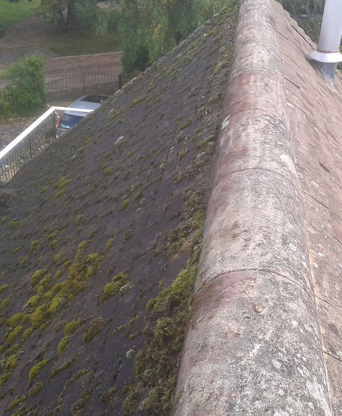 Entretien de couverture de toit à Antony (92160) et dans les Hauts-de-Seine (92)